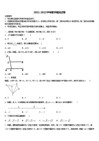 江苏省徐州市邳州市运河中学2021-2022学年中考冲刺卷数学试题含解析