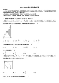 江苏省徐州市新城实验校2021-2022学年中考数学全真模拟试卷含解析