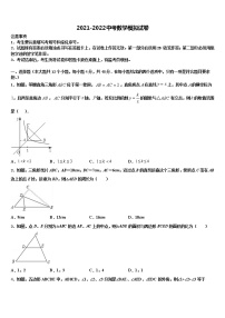 辽宁省大连高新区名校联盟重点中学2021-2022学年中考数学模试卷含解析