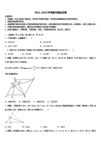 辽宁省大连市2021-2022学年中考数学最后冲刺浓缩精华卷含解析