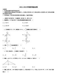 辽宁省锦州市滨海新区实验校2022年中考数学押题卷含解析