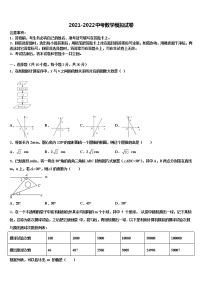 辽宁省沈阳市第一六六中学2021-2022学年中考数学最后冲刺浓缩精华卷含解析