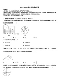 辽宁省沈阳市第一四三中学2022年中考数学押题试卷含解析