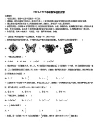 辽宁省锦州市凌海市市级名校2021-2022学年中考猜题数学试卷含解析