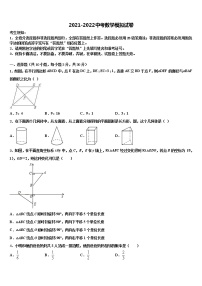 辽宁省新宾县2021-2022学年中考数学猜题卷含解析