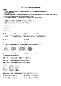 那曲市重点中学2022年中考数学押题卷含解析