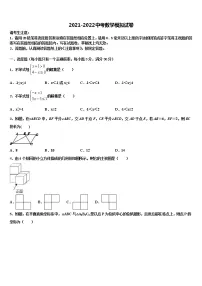 漯河市重点中学2022年中考数学考前最后一卷含解析