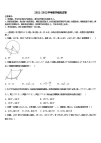 内蒙古翁牛特旗乌敦套海中学2022年中考数学最后冲刺浓缩精华卷含解析