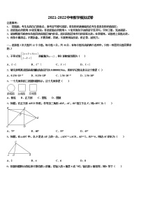 内蒙古自治区包头市2022年中考数学模拟精编试卷含解析