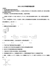 宁夏吴忠市盐池一中学2021-2022学年中考冲刺卷数学试题含解析