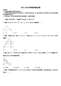 内蒙古自治区呼和浩特市回民区2022年中考数学押题试卷含解析