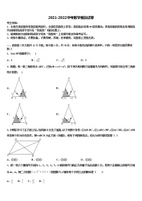 山东省海阳市美宝校2022年中考数学最后冲刺浓缩精华卷含解析