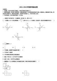 山东省济宁地区（SWZ）2022年中考数学全真模拟试题含解析