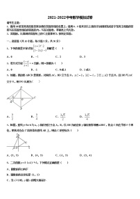 山东省临沂兰陵县联考2021-2022学年中考数学模拟预测题含解析