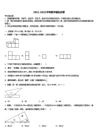 山东省日照市实验中学2022年中考数学模拟精编试卷含解析