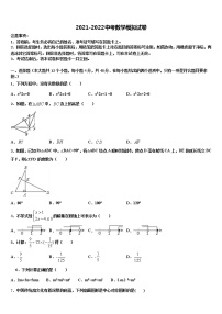 山东省潍坊市诸城市重点达标名校2021-2022学年中考数学考试模拟冲刺卷含解析