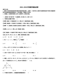 山东省枣庄2021-2022学年中考数学模试卷含解析