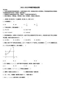 山东省枣庄市薛城区舜耕中学2022年中考三模数学试题含解析