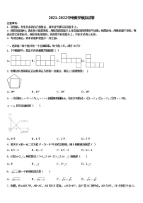 山西省汾阳市2022年中考数学考试模拟冲刺卷含解析