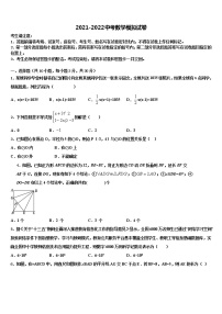 山东省济南市莱芜区市级名校2022年中考数学模拟精编试卷含解析