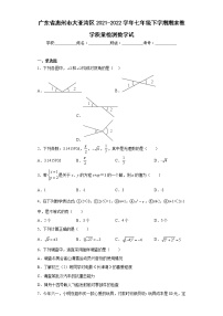 广东省惠州市大亚湾区2021-2022学年七年级下学期期末教学质量检测数学试(含答案)