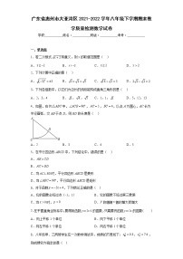 广东省惠州市大亚湾区2021-2022学年八年级下学期期末教学质量检测数学试卷(含答案)