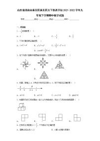 山东省济南市莱芜区莱芜区方下鲁西学校2021-2022学年九年级下学期期中数学试题(含答案)