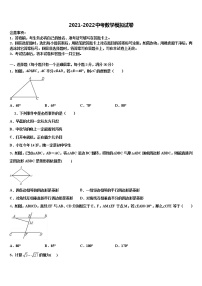 陕西省渭南市合阳县市级名校2022年中考数学五模试卷含解析