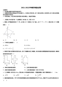 山西省临汾市市级名校2021-2022学年中考数学考试模拟冲刺卷含解析