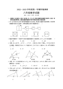 江苏省徐州市丰县2022-2023学年八年级上学期10月学情调研数学试题(含答案)