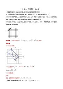 专练08（作图题）中考数学考点必刷题（解析版）