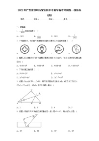 2022年广东省深圳市宝安区中考数学备考冲刺题--模拟卷（四）(含答案)