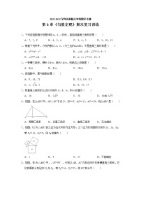 2021学年第三章 勾股定理综合与测试精练