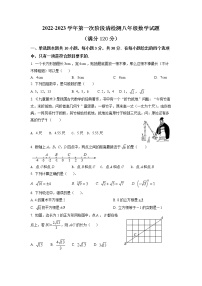 山东省枣庄市峄城区吴林街道中学2022-2023学年八年级上学期第一次检测数学试题(含答案)