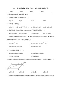 福建省泉州市安溪县2022-2023学年九年级上学期质量监测（一）数学试题(含答案)