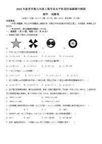 2022年秋季学期九年级上册学业水平阶段性抽测期中模拟数学试题卷