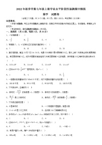 2022年秋季学期七年级上册学业水平阶段性抽测期中模拟数学试题卷