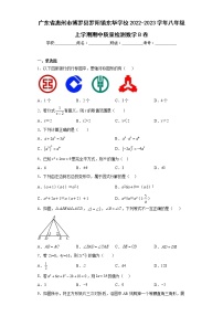 广东省惠州市博罗县罗阳镇东华学校2022-2023学年八年级上学期期中质量检测数学B卷(含答案)