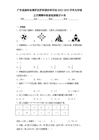 广东省惠州市博罗县罗阳镇东华学校2022-2023学年九年级上学期期中质量检测数学B卷(含答案)