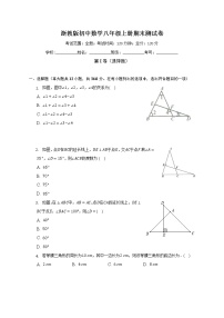 浙教版初中数学八年级上册期末测试卷（较易）（含答案解析）