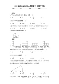 2022年浙江省绍兴市上虞区中考一模数学试题(含答案)