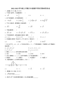 辽宁省沈阳市沈北新区和平区南昌中学沈北分校2022-2023学年八年级上学期第一次月考数学试题(含答案)