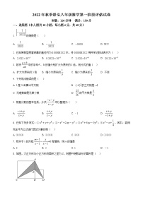 湖南省株洲市荷塘区景弘中学2022-2023年八年级上学期数学第一阶段评估试卷(含答案)