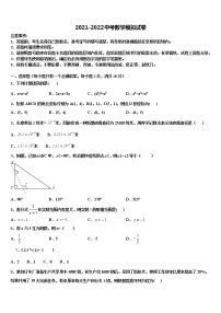 上海市金山区2021-2022学年中考数学考前最后一卷含解析