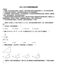 四川省成都七中学育才校2022年中考三模数学试题含解析