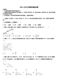 四川省德阳市德阳中学2021-2022学年中考数学全真模拟试卷含解析