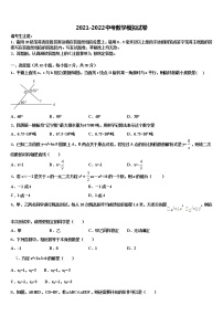 陕西省西安市陕师大附中2021-2022学年中考数学仿真试卷含解析