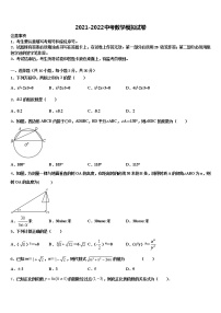 陕西省咸阳市秦都区咸阳市实验中学2022年中考数学考试模拟冲刺卷含解析