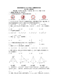 湖南省长沙市雅礼教育集团2021-2022学年八年级上学期期中联考数学试卷