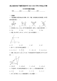 浙江省杭州市下城区采荷中学2022-2023学年八年级上学期10月月考数学试题(含答案)